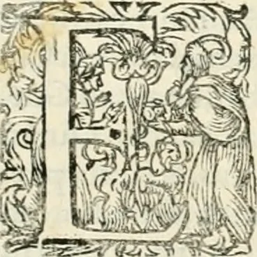 An illustration from I.[-VI.] pars Romanae vrbis topographiae & antiquitatum, quâ succinctê & breviter describuntur omnia quae tam publicê quam privatim videntur anim-adversione digna:, 1597, leaf 392