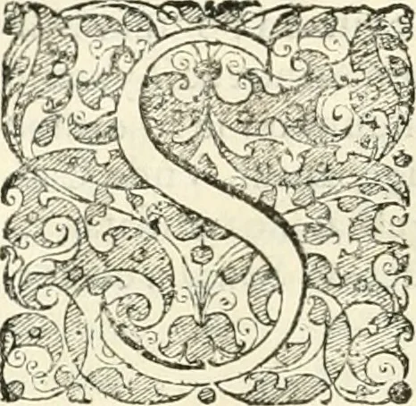 An illustration from I.[-VI.] pars Romanae vrbis topographiae & antiquitatum, quâ succinctê & breviter describuntur omnia quae tam publicê quam privatim videntur anim-adversione digna:, 1597, leaf 393