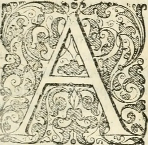 An illustration from I.[-VI.] pars Romanae vrbis topographiae & antiquitatum, quâ succinctê & breviter describuntur omnia quae tam publicê quam privatim videntur anim-adversione digna:, 1597, leaf 394