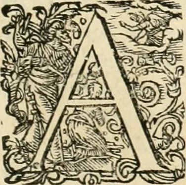 An illustration from I.[-VI.] pars Romanae vrbis topographiae & antiquitatum, quâ succinctê & breviter describuntur omnia quae tam publicê quam privatim videntur anim-adversione digna:, 1597, leaf 396
