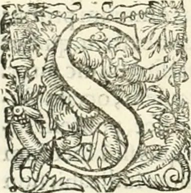 An illustration from I.[-VI.] pars Romanae vrbis topographiae & antiquitatum, quâ succinctê & breviter describuntur omnia quae tam publicê quam privatim videntur anim-adversione digna:, 1597, leaf 401