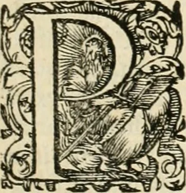 An illustration from I.[-VI.] pars Romanae vrbis topographiae & antiquitatum, quâ succinctê & breviter describuntur omnia quae tam publicê quam privatim videntur anim-adversione digna:, 1597, leaf 402