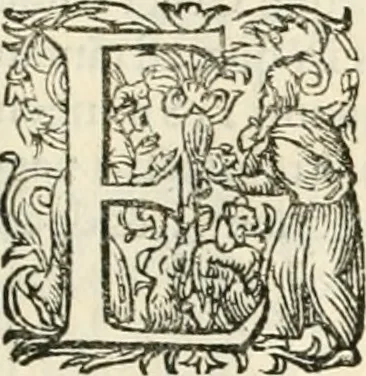 An illustration from I.[-VI.] pars Romanae vrbis topographiae & antiquitatum, quâ succinctê & breviter describuntur omnia quae tam publicê quam privatim videntur anim-adversione digna:, 1597, leaf 408