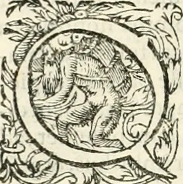 An illustration from I.[-VI.] pars Romanae vrbis topographiae & antiquitatum, quâ succinctê & breviter describuntur omnia quae tam publicê quam privatim videntur anim-adversione digna:, 1597, leaf 413
