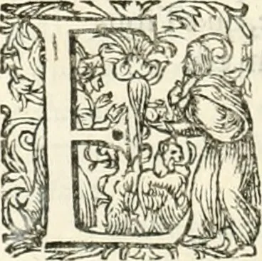 An illustration from I.[-VI.] pars Romanae vrbis topographiae & antiquitatum, quâ succinctê & breviter describuntur omnia quae tam publicê quam privatim videntur anim-adversione digna:, 1597, leaf 413