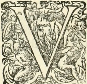An illustration from I.[-VI.] pars Romanae vrbis topographiae & antiquitatum, quâ succinctê & breviter describuntur omnia quae tam publicê quam privatim videntur anim-adversione digna:, 1597, leaf 417