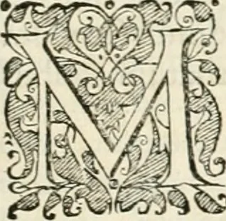 An illustration from I.[-VI.] pars Romanae vrbis topographiae & antiquitatum, quâ succinctê & breviter describuntur omnia quae tam publicê quam privatim videntur anim-adversione digna:, 1597, leaf 422