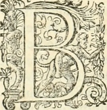 An illustration from I.[-VI.] pars Romanae vrbis topographiae & antiquitatum, quâ succinctê & breviter describuntur omnia quae tam publicê quam privatim videntur anim-adversione digna:, 1597, leaf 423