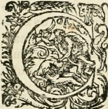 An illustration from I.[-VI.] pars Romanae vrbis topographiae & antiquitatum, quâ succinctê & breviter describuntur omnia quae tam publicê quam privatim videntur anim-adversione digna:, 1597, leaf 426