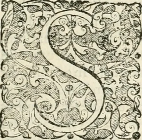 An illustration from I.[-VI.] pars Romanae vrbis topographiae & antiquitatum, quâ succinctê & breviter describuntur omnia quae tam publicê quam privatim videntur anim-adversione digna:, 1597, leaf 426