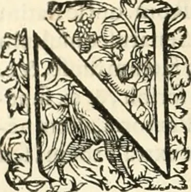 An illustration from I.[-VI.] pars Romanae vrbis topographiae & antiquitatum, quâ succinctê & breviter describuntur omnia quae tam publicê quam privatim videntur anim-adversione digna:, 1597, leaf 427