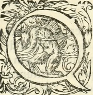 An illustration from I.[-VI.] pars Romanae vrbis topographiae & antiquitatum, quâ succinctê & breviter describuntur omnia quae tam publicê quam privatim videntur anim-adversione digna:, 1597, leaf 427