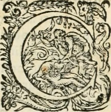 An illustration from I.[-VI.] pars Romanae vrbis topographiae & antiquitatum, quâ succinctê & breviter describuntur omnia quae tam publicê quam privatim videntur anim-adversione digna:, 1597, leaf 428