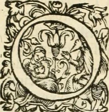 An illustration from I.[-VI.] pars Romanae vrbis topographiae & antiquitatum, quâ succinctê & breviter describuntur omnia quae tam publicê quam privatim videntur anim-adversione digna:, 1597, leaf 430