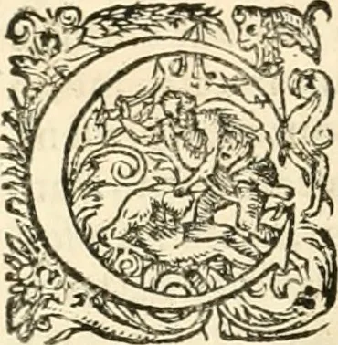 An illustration from I.[-VI.] pars Romanae vrbis topographiae & antiquitatum, quâ succinctê & breviter describuntur omnia quae tam publicê quam privatim videntur anim-adversione digna:, 1597, leaf 433