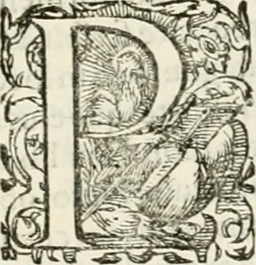 An illustration from I.[-VI.] pars Romanae vrbis topographiae & antiquitatum, quâ succinctê & breviter describuntur omnia quae tam publicê quam privatim videntur anim-adversione digna:, 1597, leaf 436