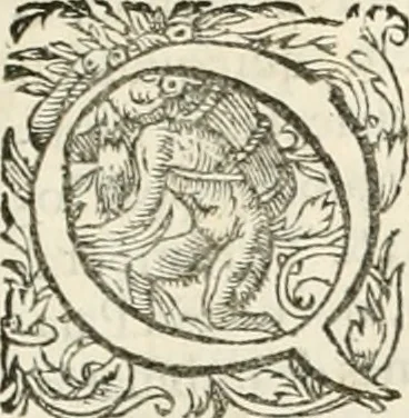 An illustration from I.[-VI.] pars Romanae vrbis topographiae & antiquitatum, quâ succinctê & breviter describuntur omnia quae tam publicê quam privatim videntur anim-adversione digna:, 1597, leaf 438