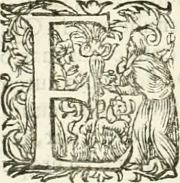 An illustration from I.[-VI.] pars Romanae vrbis topographiae & antiquitatum, quâ succinctê & breviter describuntur omnia quae tam publicê quam privatim videntur anim-adversione digna:, 1597, leaf 443
