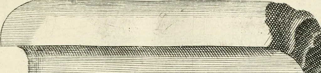 An illustration from I.[-VI.] pars Romanae vrbis topographiae & antiquitatum, quâ succinctê & breviter describuntur omnia quae tam publicê quam privatim videntur anim-adversione digna:, 1597, leaf 544