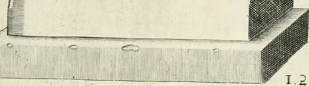 An illustration from I.[-VI.] pars Romanae vrbis topographiae & antiquitatum, quâ succinctê & breviter describuntur omnia quae tam publicê quam privatim videntur anim-adversione digna:, 1597, leaf 546
