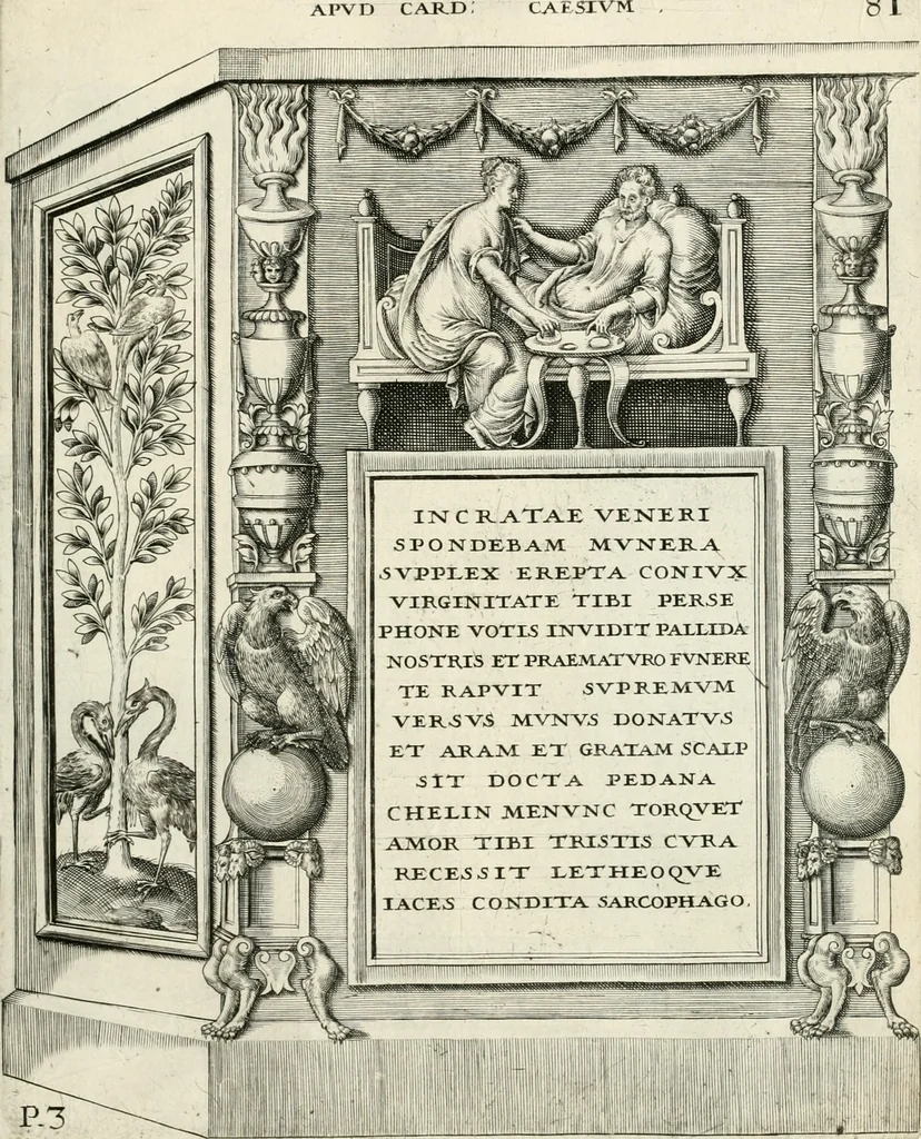An illustration from I.[-VI.] pars Romanae vrbis topographiae & antiquitatum, quâ succinctê & breviter describuntur omnia quae tam publicê quam privatim videntur anim-adversione digna:, 1597, leaf 596