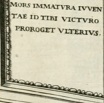An illustration from I.[-VI.] pars Romanae vrbis topographiae & antiquitatum, quâ succinctê & breviter describuntur omnia quae tam publicê quam privatim videntur anim-adversione digna:, 1597, leaf 600