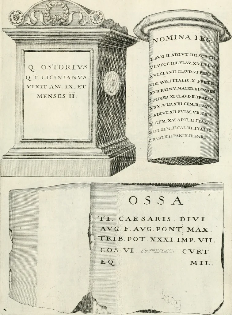 An illustration from I.[-VI.] pars Romanae vrbis topographiae & antiquitatum, quâ succinctê & breviter describuntur omnia quae tam publicê quam privatim videntur anim-adversione digna:, 1597, leaf 638