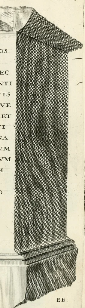 An illustration from I.[-VI.] pars Romanae vrbis topographiae & antiquitatum, quâ succinctê & breviter describuntur omnia quae tam publicê quam privatim videntur anim-adversione digna:, 1597, leaf 672
