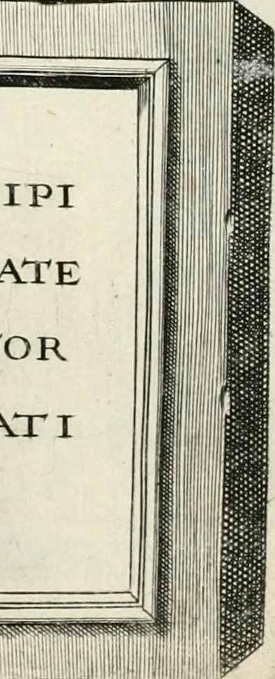 An illustration from I.[-VI.] pars Romanae vrbis topographiae & antiquitatum, quâ succinctê & breviter describuntur omnia quae tam publicê quam privatim videntur anim-adversione digna:, 1597, leaf 676