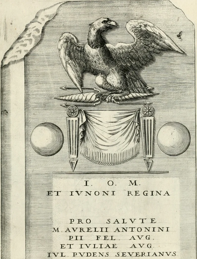 An illustration from I.[-VI.] pars Romanae vrbis topographiae & antiquitatum, quâ succinctê & breviter describuntur omnia quae tam publicê quam privatim videntur anim-adversione digna:, 1597, leaf 690
