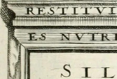 An illustration from I.[-VI.] pars Romanae vrbis topographiae & antiquitatum, quâ succinctê & breviter describuntur omnia quae tam publicê quam privatim videntur anim-adversione digna:, 1597, leaf 154