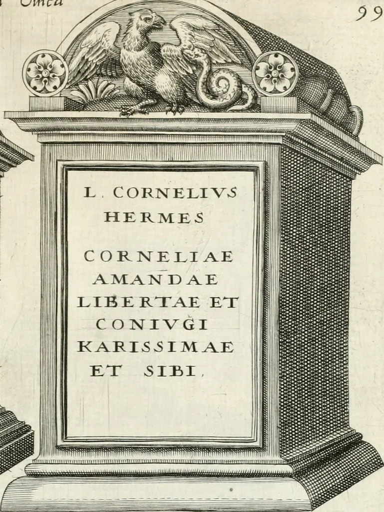 An illustration from I.[-VI.] pars Romanae vrbis topographiae & antiquitatum, quâ succinctê & breviter describuntur omnia quae tam publicê quam privatim videntur anim-adversione digna:, 1597, leaf 156