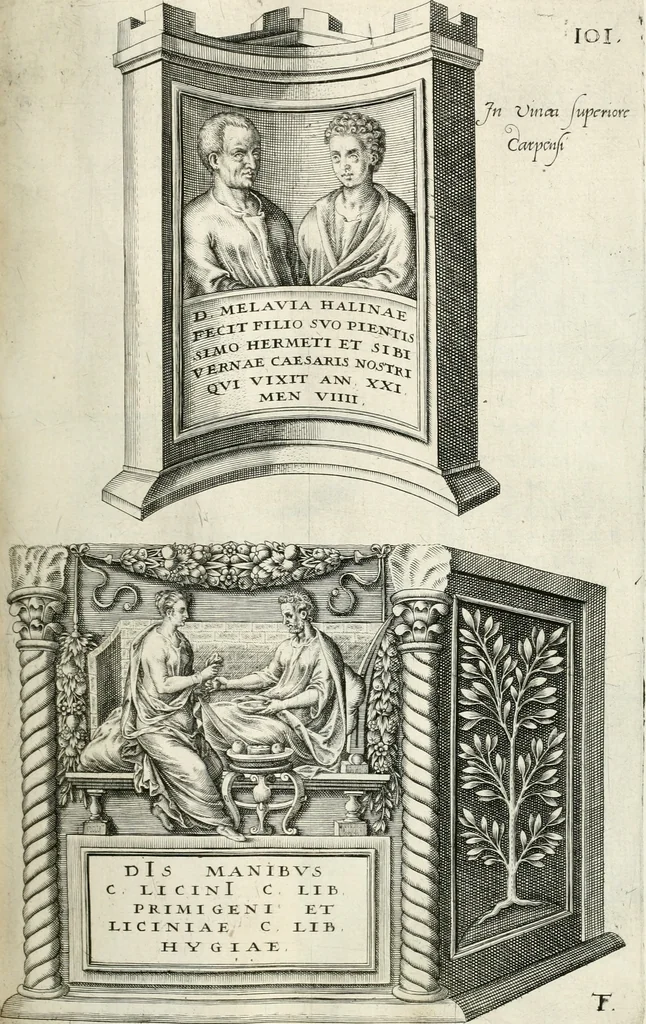 An illustration from I.[-VI.] pars Romanae vrbis topographiae & antiquitatum, quâ succinctê & breviter describuntur omnia quae tam publicê quam privatim videntur anim-adversione digna:, 1597, leaf 160
