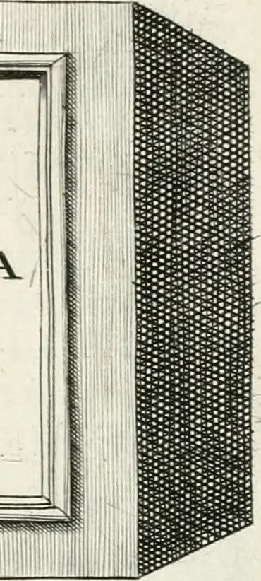 An illustration from I.[-VI.] pars Romanae vrbis topographiae & antiquitatum, quâ succinctê & breviter describuntur omnia quae tam publicê quam privatim videntur anim-adversione digna:, 1597, leaf 166