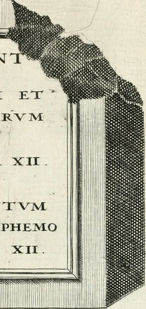 An illustration from I.[-VI.] pars Romanae vrbis topographiae & antiquitatum, quâ succinctê & breviter describuntur omnia quae tam publicê quam privatim videntur anim-adversione digna:, 1597, leaf 184