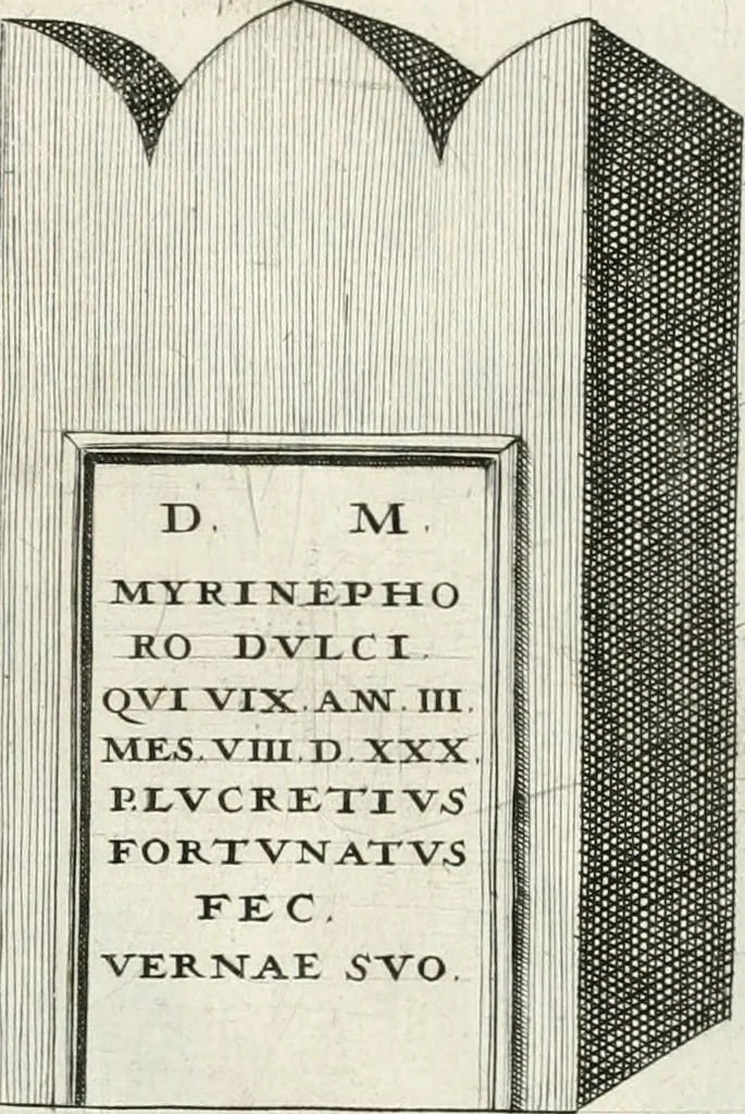 An illustration from I.[-VI.] pars Romanae vrbis topographiae & antiquitatum, quâ succinctê & breviter describuntur omnia quae tam publicê quam privatim videntur anim-adversione digna:, 1597, leaf 188