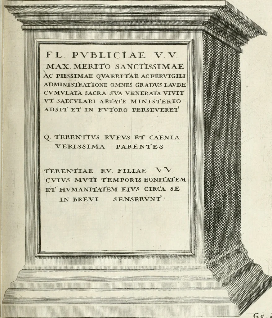 An illustration from I.[-VI.] pars Romanae vrbis topographiae & antiquitatum, quâ succinctê & breviter describuntur omnia quae tam publicê quam privatim videntur anim-adversione digna:, 1597, leaf 250