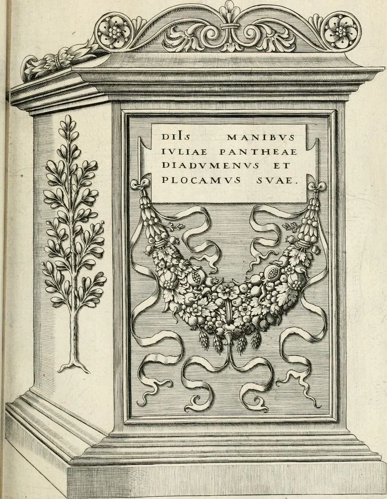 An illustration from I.[-VI.] pars Romanae vrbis topographiae & antiquitatum, quâ succinctê & breviter describuntur omnia quae tam publicê quam privatim videntur anim-adversione digna:, 1597, leaf 310