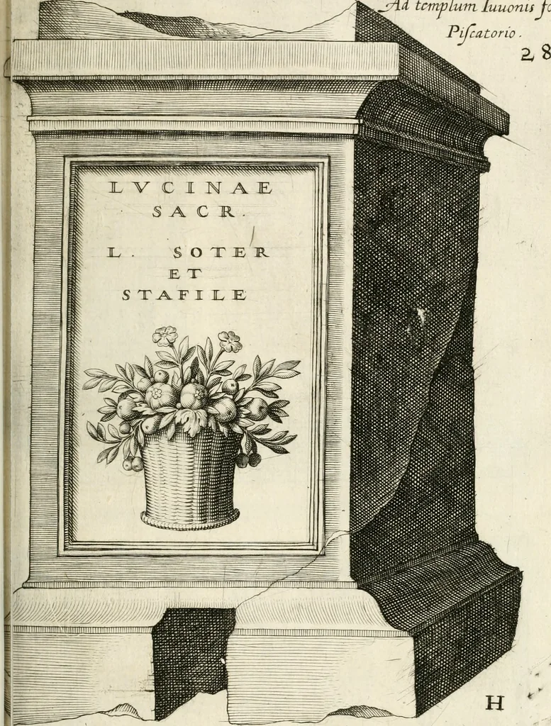 An illustration from I.[-VI.] pars Romanae vrbis topographiae & antiquitatum, quâ succinctê & breviter describuntur omnia quae tam publicê quam privatim videntur anim-adversione digna:, 1597, leaf 328