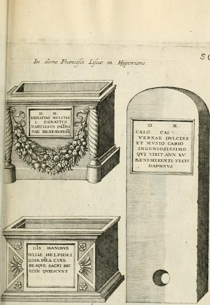 An illustration from I.[-VI.] pars Romanae vrbis topographiae & antiquitatum, quâ succinctê & breviter describuntur omnia quae tam publicê quam privatim videntur anim-adversione digna:, 1597, leaf 384