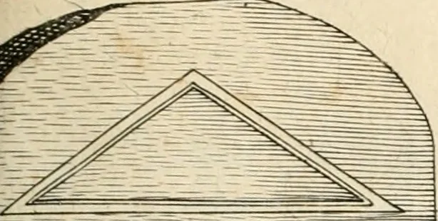 An illustration from I.[-VI.] pars Romanae vrbis topographiae & antiquitatum, quâ succinctê & breviter describuntur omnia quae tam publicê quam privatim videntur anim-adversione digna:, 1597, leaf 476