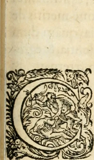 An illustration from I.[-VI.] pars Romanae vrbis topographiae & antiquitatum, quâ succinctê & breviter describuntur omnia quae tam publicê quam privatim videntur anim-adversione digna:, 1597, leaf 534