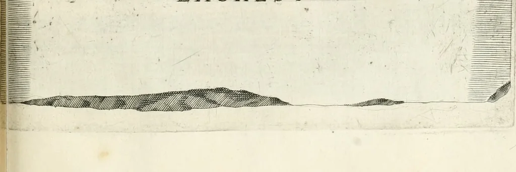 An illustration from I.[-VI.] pars Romanae vrbis topographiae & antiquitatum, quâ succinctê & breviter describuntur omnia quae tam publicê quam privatim videntur anim-adversione digna:, 1597, leaf 646