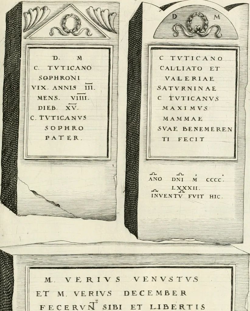 An illustration from I.[-VI.] pars Romanae vrbis topographiae & antiquitatum, quâ succinctê & breviter describuntur omnia quae tam publicê quam privatim videntur anim-adversione digna:, 1597, leaf 662