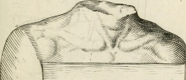 An illustration from I.[-VI.] pars Romanae vrbis topographiae & antiquitatum, quâ succinctê & breviter describuntur omnia quae tam publicê quam privatim videntur anim-adversione digna:, 1597, leaf 678