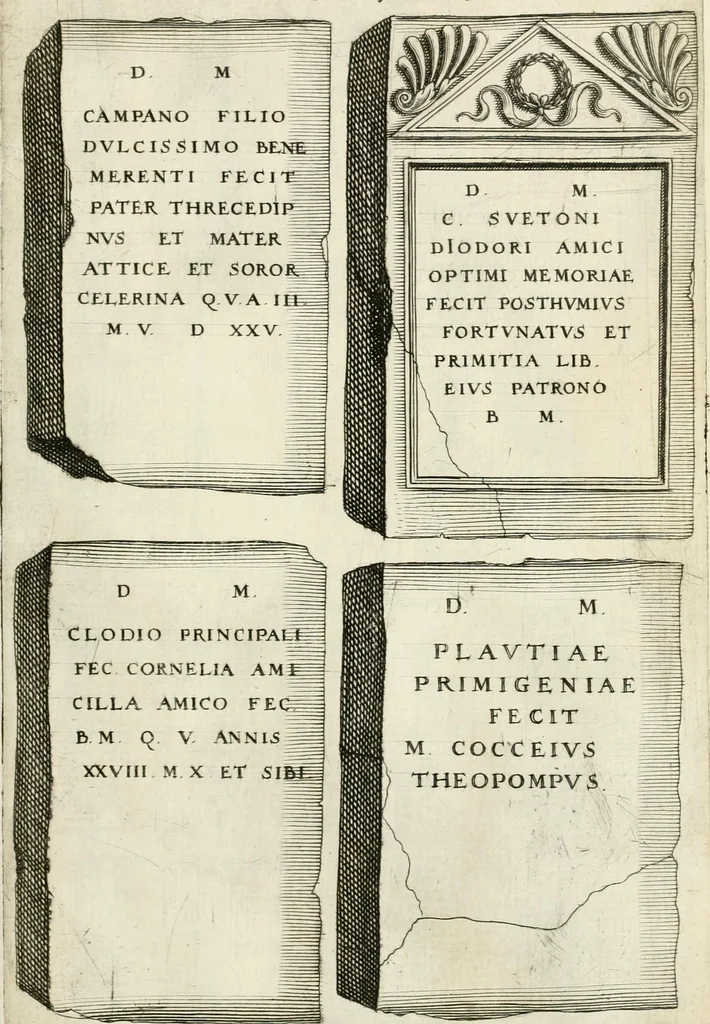 An illustration from I.[-VI.] pars Romanae vrbis topographiae & antiquitatum, quâ succinctê & breviter describuntur omnia quae tam publicê quam privatim videntur anim-adversione digna:, 1597, leaf 708