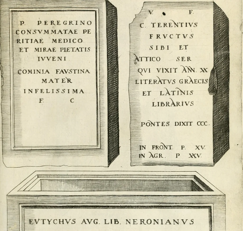 An illustration from I.[-VI.] pars Romanae vrbis topographiae & antiquitatum, quâ succinctê & breviter describuntur omnia quae tam publicê quam privatim videntur anim-adversione digna:, 1597, leaf 718