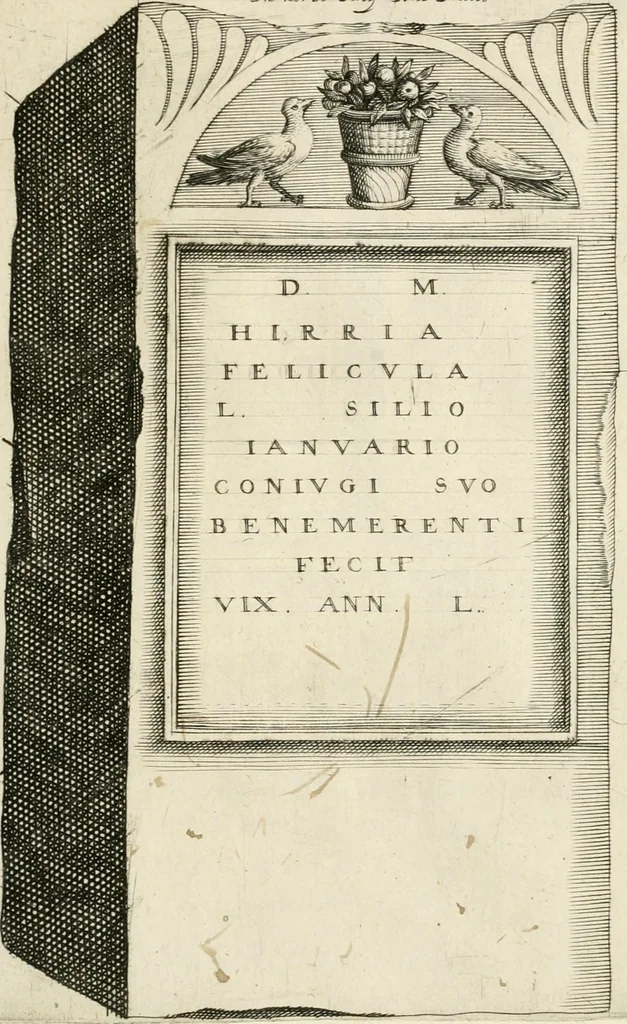 An illustration from I.[-VI.] pars Romanae vrbis topographiae & antiquitatum, quâ succinctê & breviter describuntur omnia quae tam publicê quam privatim videntur anim-adversione digna:, 1597, leaf 724