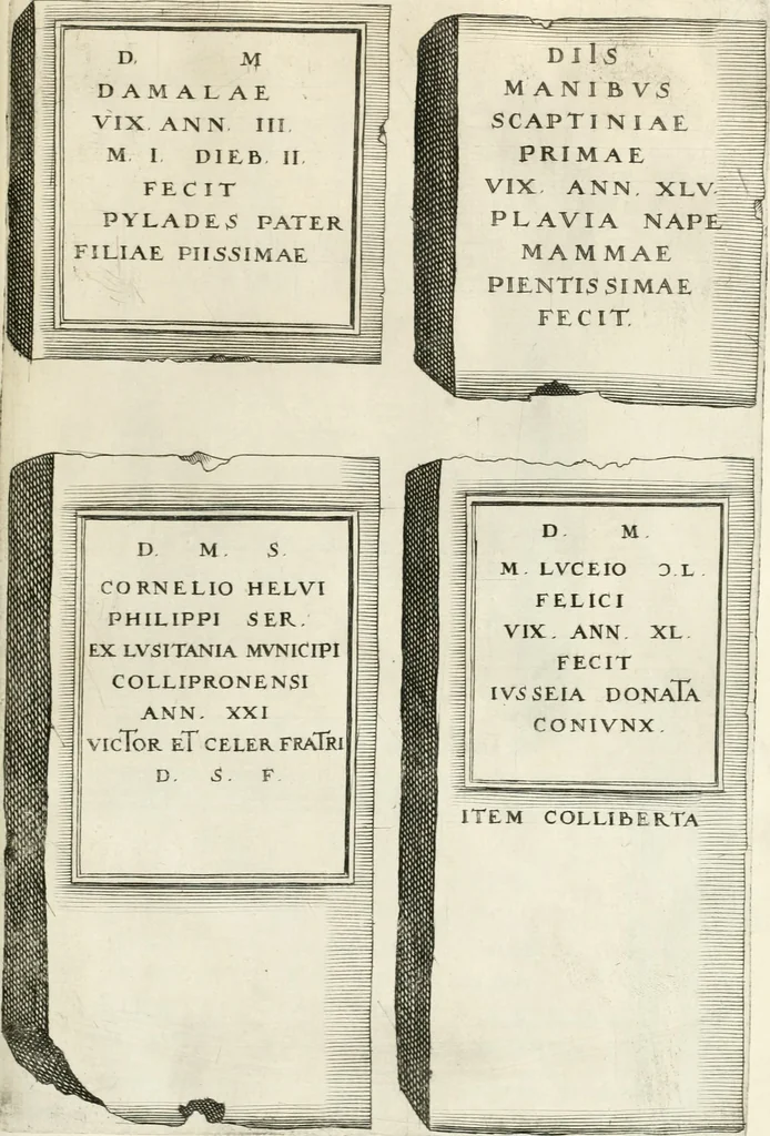 An illustration from I.[-VI.] pars Romanae vrbis topographiae & antiquitatum, quâ succinctê & breviter describuntur omnia quae tam publicê quam privatim videntur anim-adversione digna:, 1597, leaf 756