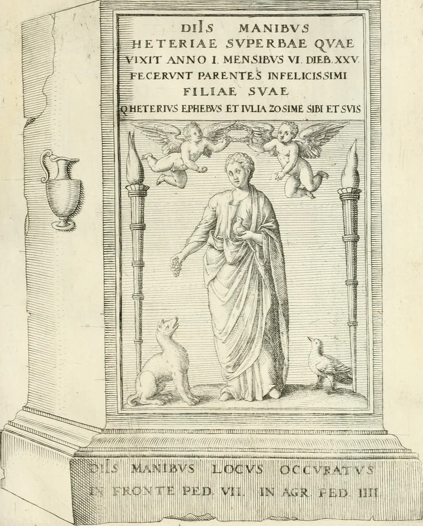 An illustration from I.[-VI.] pars Romanae vrbis topographiae & antiquitatum, quâ succinctê & breviter describuntur omnia quae tam publicê quam privatim videntur anim-adversione digna:, 1597, leaf 788